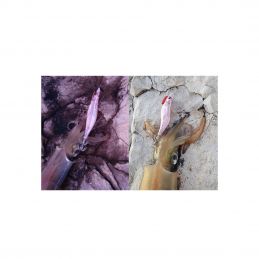 ΚΑΛΑΜΑΡΙΕΡΑ DTD RED KILLER EGI