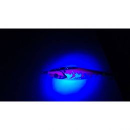 ΚΑΛΑΜΑΡΙΕΡΑ DTDX FISH